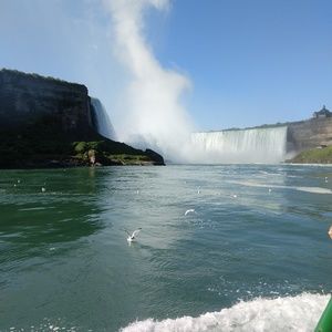 Meet your Posher, Caden